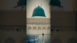ali molla ali molla ali Dam Dam 🤲❤️#shabbir #islamic #studio