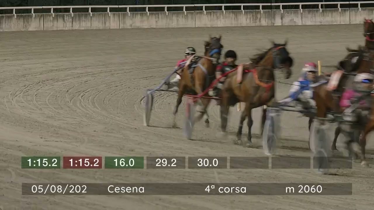 025 08 05 | Corsa 4 | Metri 2060 | Premio Consorzio C.A.I.E.C.