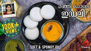 Idli Recipe | Idli Batter Recipe | പഞ്ഞിപോലെ ഇഡ്‌ലി| Spongy Idli Recipe | Soft Idli Recipe Malayalam