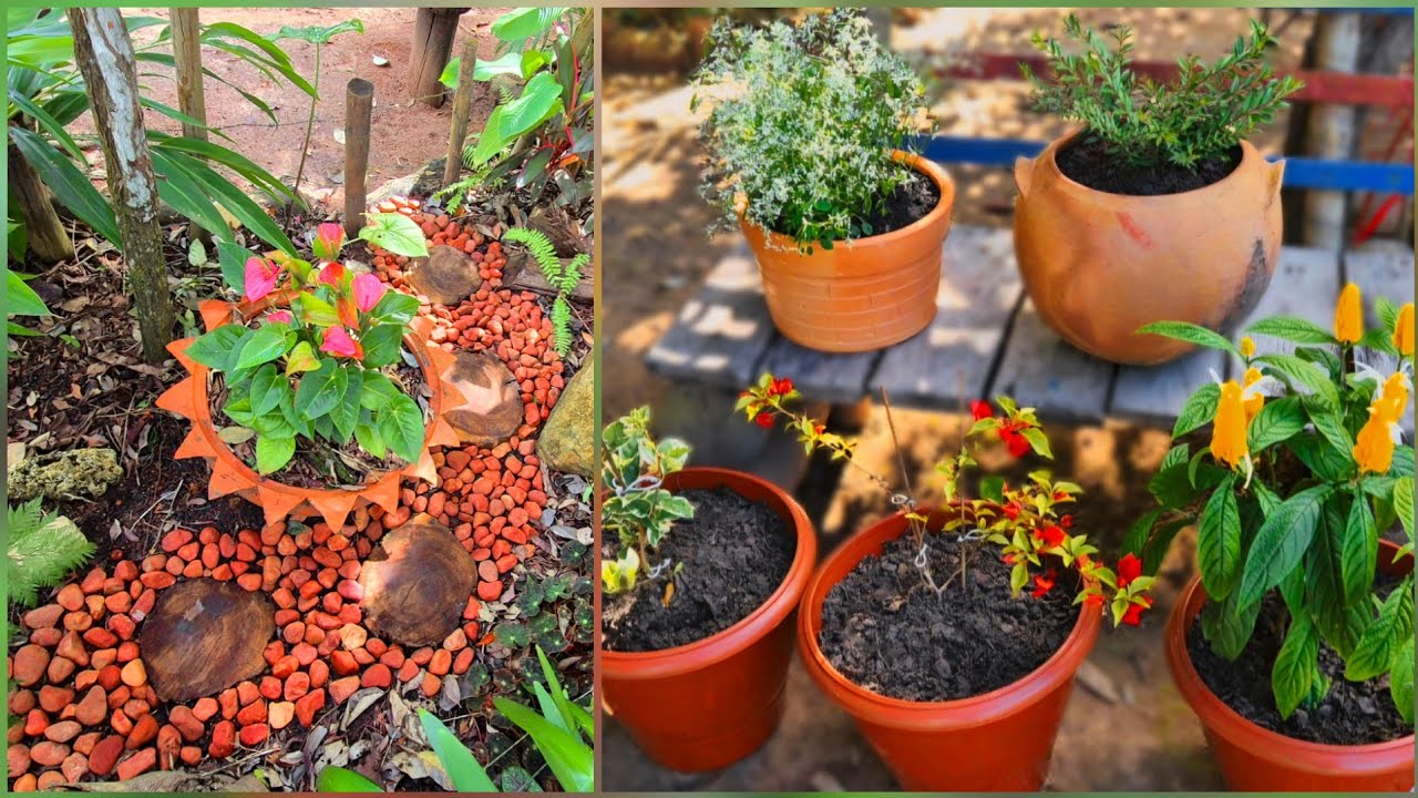 DECORANDO E LIMPANDO  O MEU JARDIM 