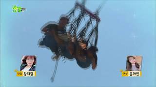 홍천 루지체험 - KBS 생생정보 2018.06.05 방영 비발디파크 루지월드