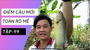 Tập 99 - Trốn dịch covid đi câu cá rô đồng, điểm câu tại Trường Xuân, Tháp Mười, Đồng Tháp | TMQT