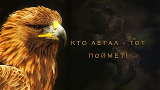 Who flew - he will understand! - Clip - Egor and Natalia Lancere / Christian music clip - Eagle