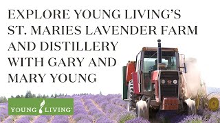 Young Living Lavender Farm in St. Maries, Idaho