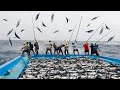 Amazing fast classic tuna fishing skill caught hundreds tons of tuna on the boat