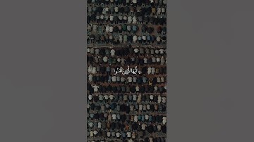 عبد الباسط - سورة البقرة || يا أيها الذين آمنوا استعينوا بالصبر والصلاة