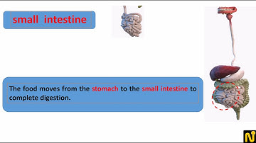 Connect 4  unit 1 Lesson 2