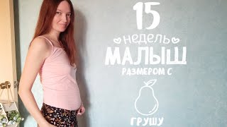 15 неделя 💖 Гуляю. Сходила на прием к врачу. Цирк. Болталка