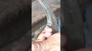 Forging A Big Curved Knife #amazingkkdaily #skills #shorts