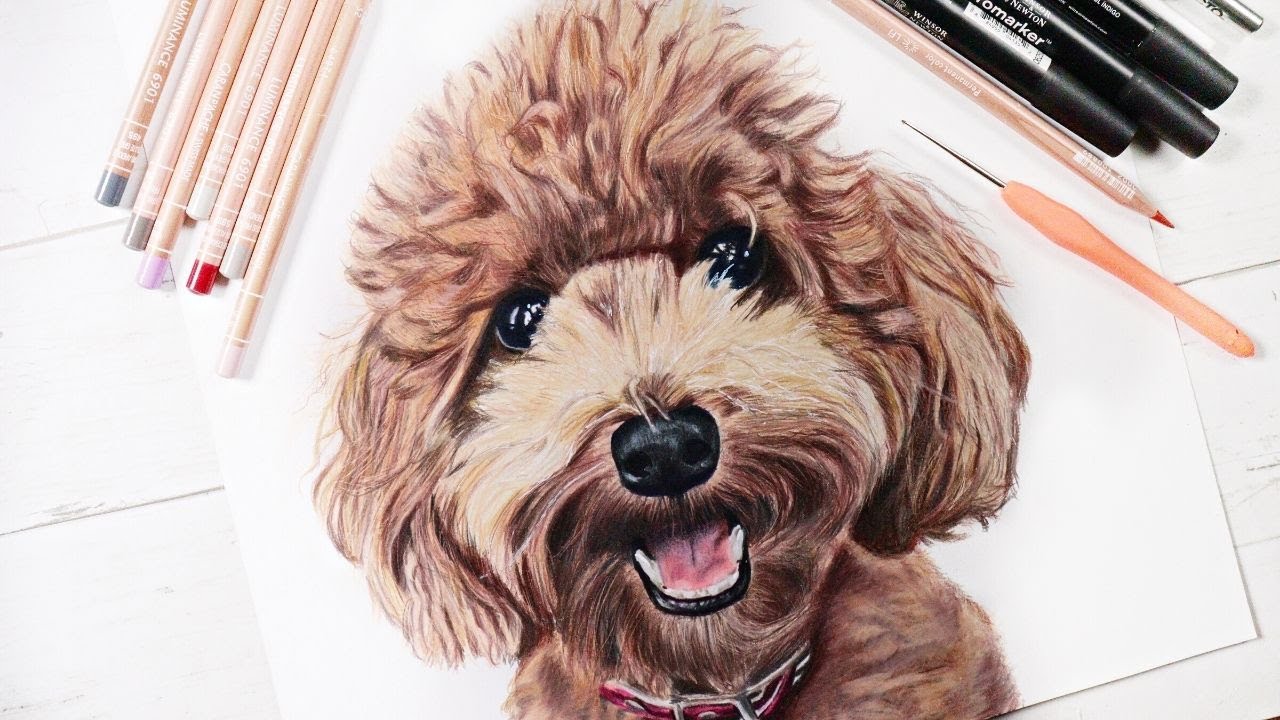 Kit And Pup Drawing Colour Pencil 