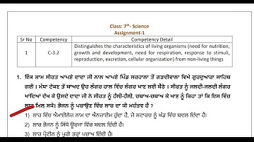 7th Class Science|Assignment No.1 Solution|CEP 2025|Competency enhancement program|