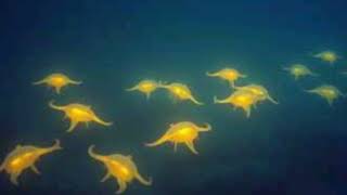 Under silent Waves