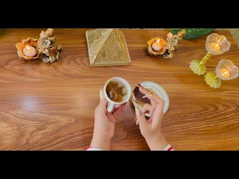 بانو فال پیشگویی امروز قهوه برای شما