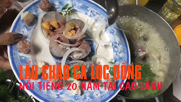 Lẩu cháo cá lóc Nam - Cao Lãnh, Đồng Tháp,  Nổi Tiếng 20 năm | Pencil TV