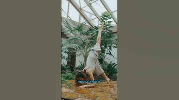 WAIT! The Golden Ratio