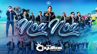 Banda Los Coyulitos - El Noa Noa [Official Video]