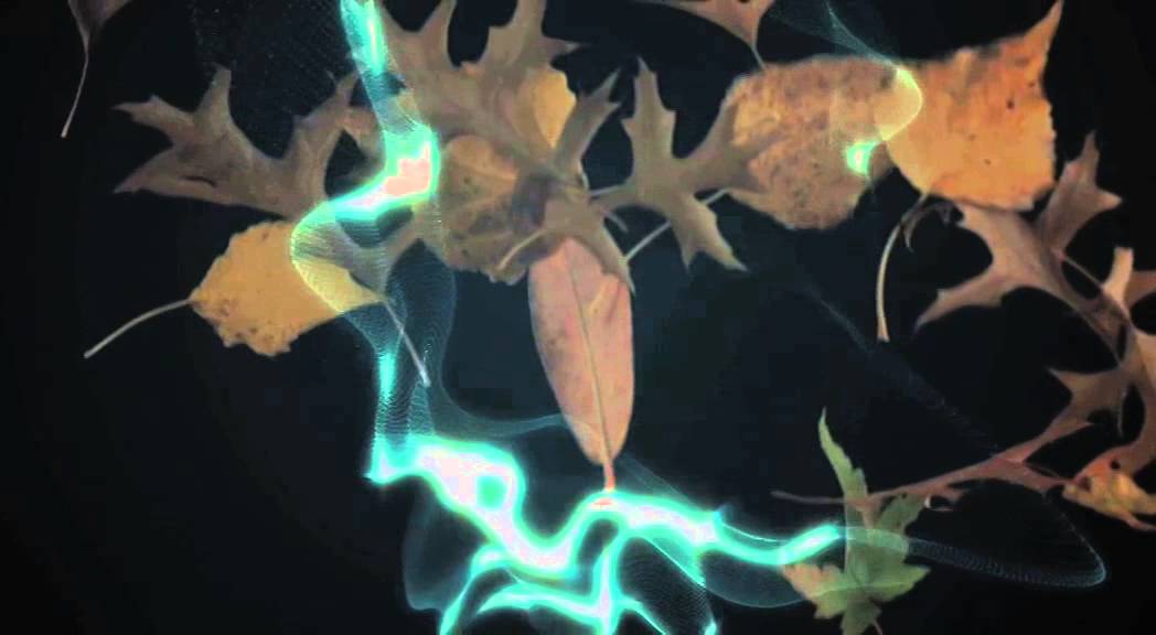 Guarda Code Indigo The MELdown Concert DVD extract 3 su YouTube Guarda Code Indigo The MELdown Concert DVD extract 3 su YouTube