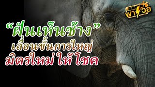 ฝันดี ฝันดี หรือฝันร้าย : ฝันเห็นช้าง เลื่อนขั้นการใหญ่ มิตรใหม่ให้โชค