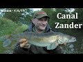 Canal Zander Fishing - Last-Minute Evening Session - 4/6/19 (Video 115)