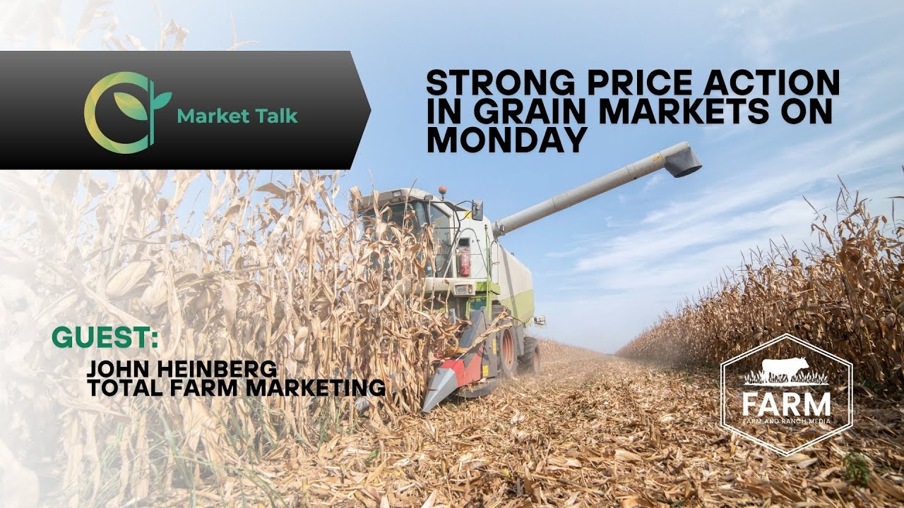 Strong Price Action in Grain Markets on Monday Strong Price Action in Grain Markets on Monday