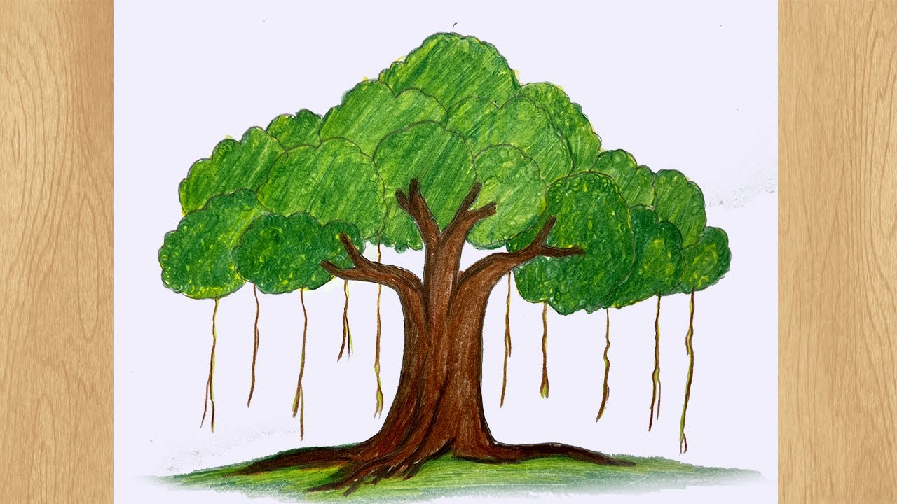 Pencil simple banyan tree drawing