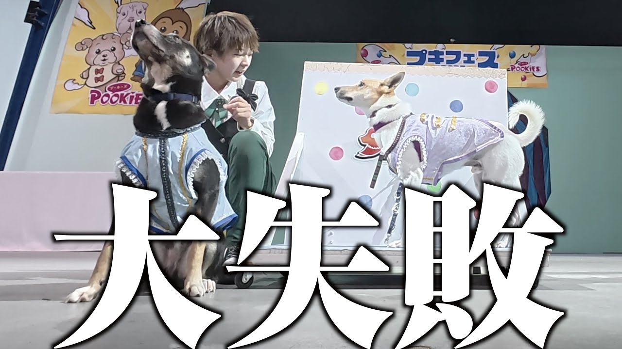 元保護犬とイベントで挑戦した新技が、大失敗した一部始終…