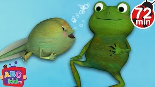 Frog Song + More Nursery Rhymes \& Kids Songs - CoComelon