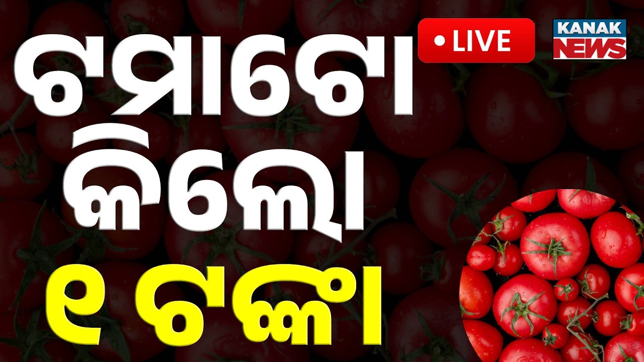 🔴Live | ଟମାଟୋ କିଲୋ ୧ ଟଙ୍କା କାହିଁକି ? Shocking! Tomato Price Drops to ₹1 Per KG | Kanak News