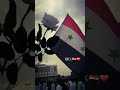 عاشت سوريا الأسد للابد نصرك قادم بإذن الله مصمم محاميه يارا بنت سوريا
