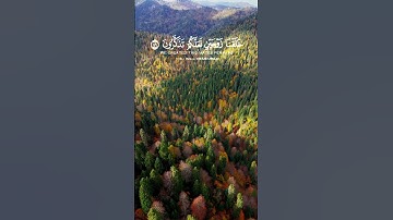 سورة الذاريات#الشريم #قرآن #اكسبلور #المصحف