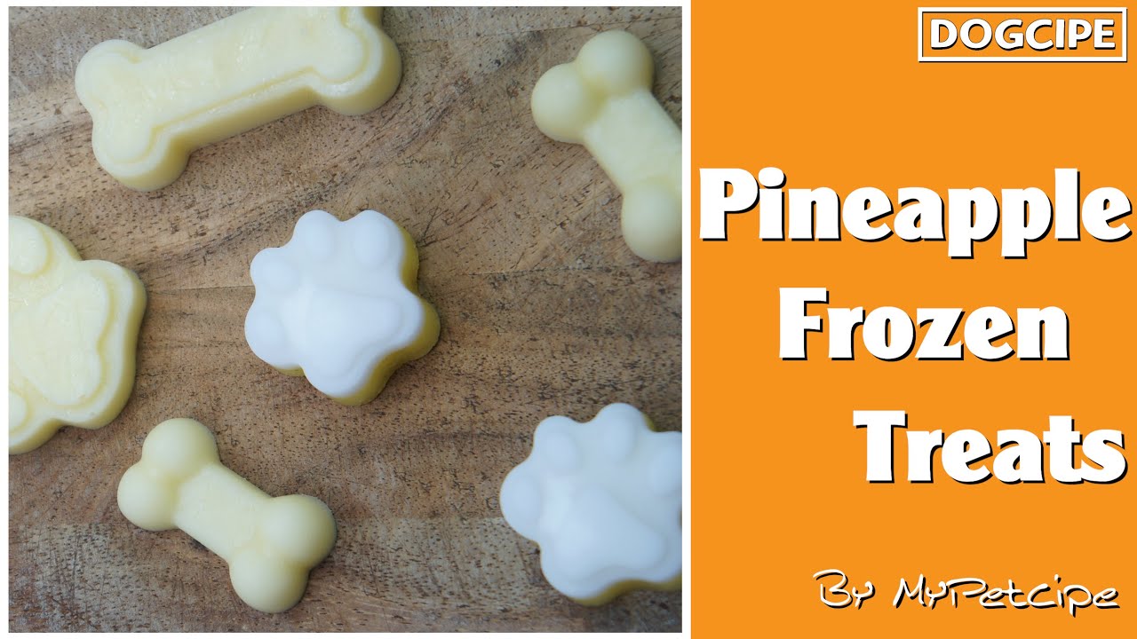 Pineapple Frozen Treats Frozen Treat Treat for Dog MyPetcipe