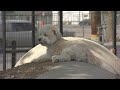City Beat: Penalties For Keeping Pets Kept Out In The Heat & Summer Heat In Las Vegas
