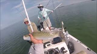 Summer Time Trout Fishing - Everglades National Park - Flamingo