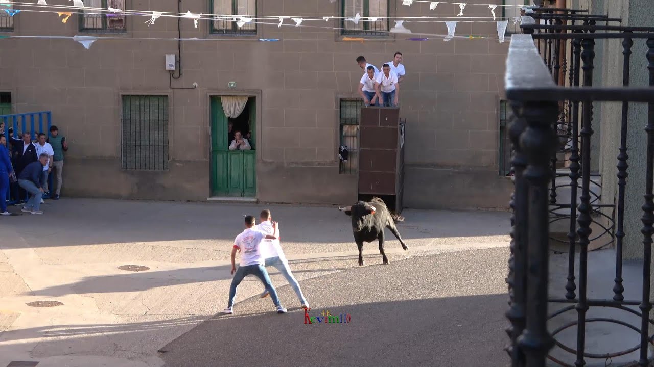 Fuentelapeña 2024 Toro de cajon