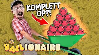 Tomaten Komplett OP? | Ballionaire