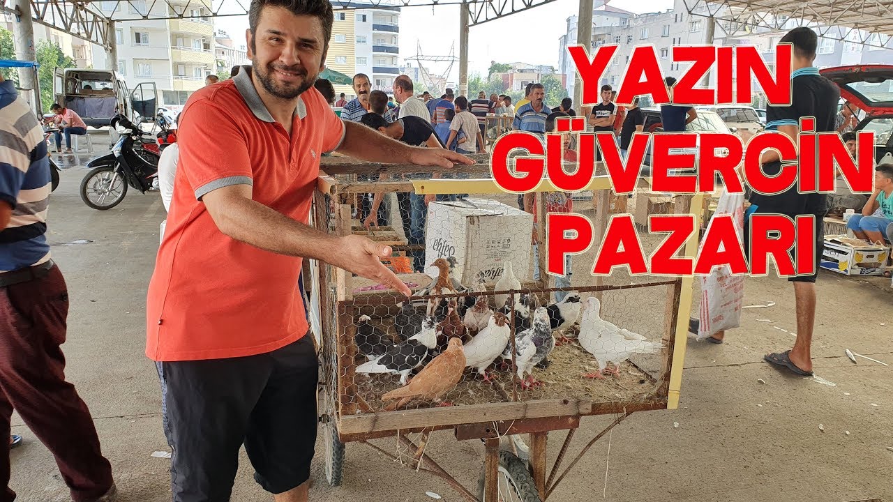 Tavuk Pazarinda Brahma Sattim Youtube