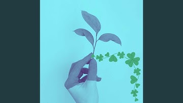 Dashing Backdrops for Lazy Together