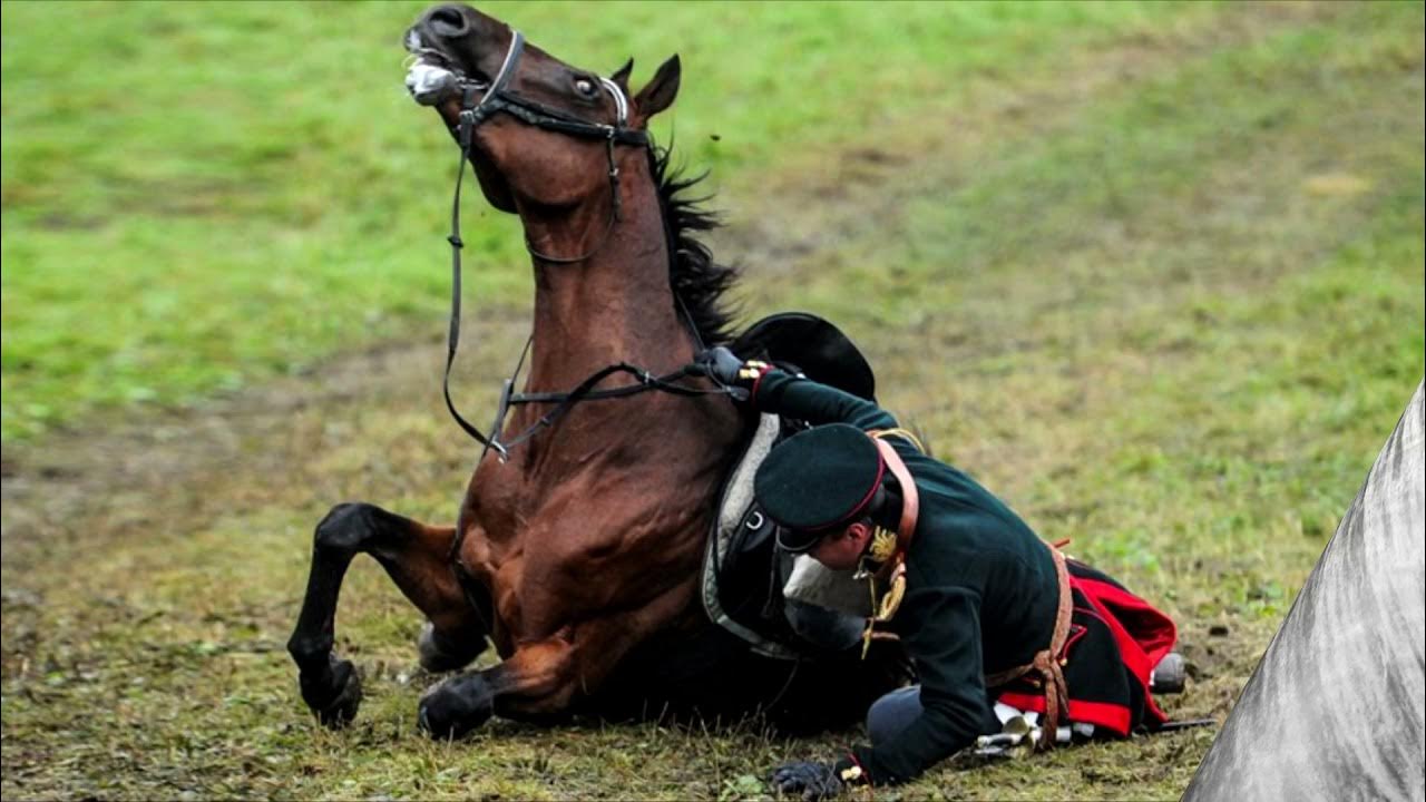 Сражение на лошадях. Кто не смог взять себе раненого коня