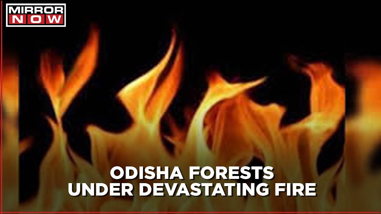 Forest fires in Odisha still rage on after a week; Animals shifted to safer areas