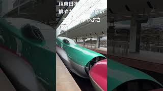 JR東日本の新幹線は鮮やかな列車が多い　こまち&はやぶさ　#JR東日本 #新幹線 #東京駅 #こまち#はやぶさ