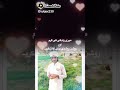محمد نصیر عطاری قادری رضوی
