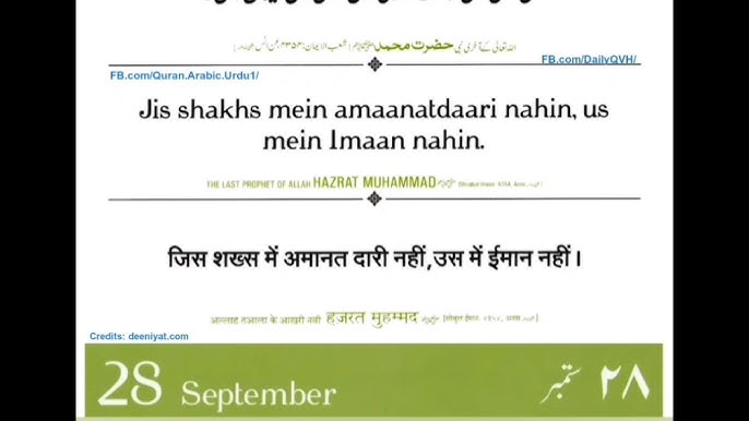 Katta fallusli jinsiy aloqa apparatlari