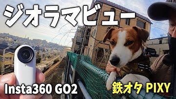 【Insta360 GO2】「WanTuber 犬目線カメラ」鉄道模型のような絶景 ジオラマビュー😁  そして…パパもマイブーム公開 Jack Russell Terrier 🐶