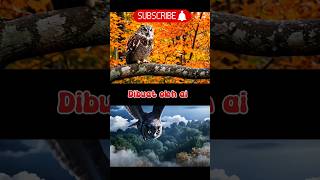 Melayang mencari mangsa,tatapan tajam #ai #youtubeshorts #animals #viralvideo