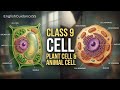Nucleus to Mitochondria | Every Cell Organelle Explained Simply @Englishguidancess Shashi Sir