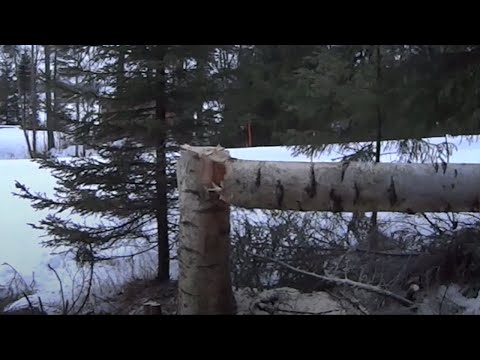 Video: Puun kiillotus: työkalut ja tekniikka