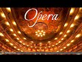 Opera - Overtures & Instrumental Arias