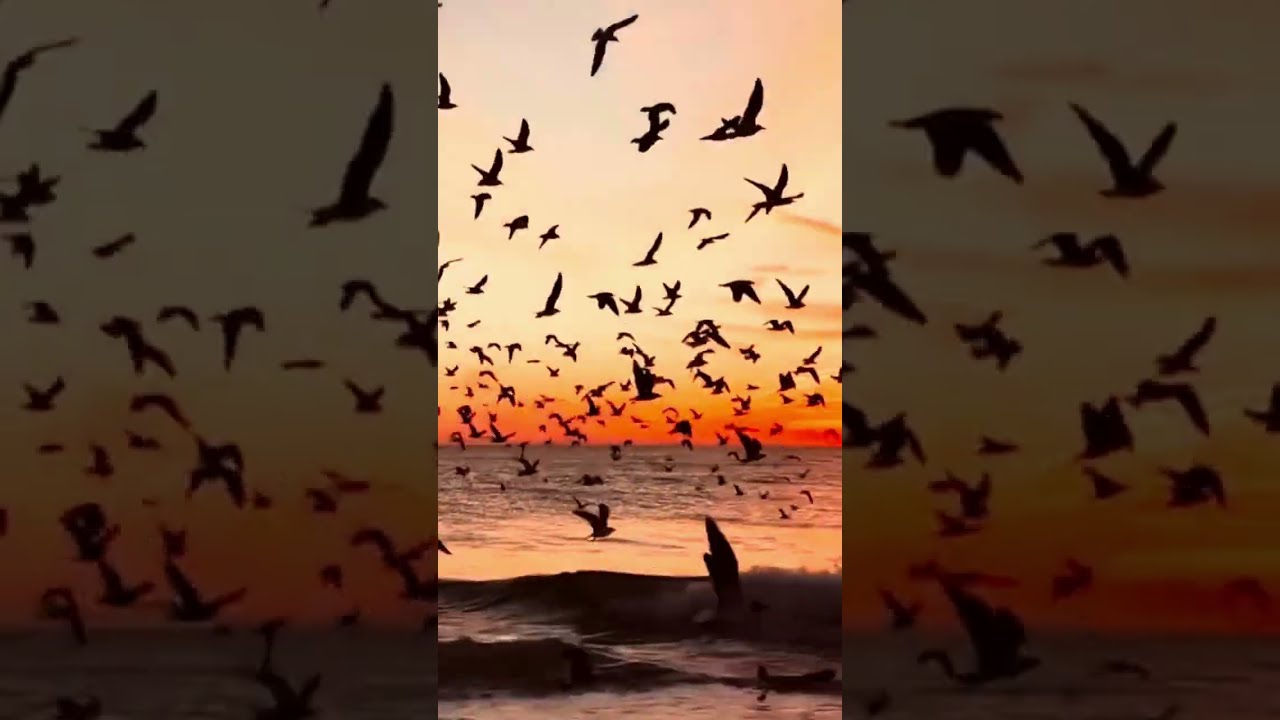 Grief Raised Me by Puteri Qistina