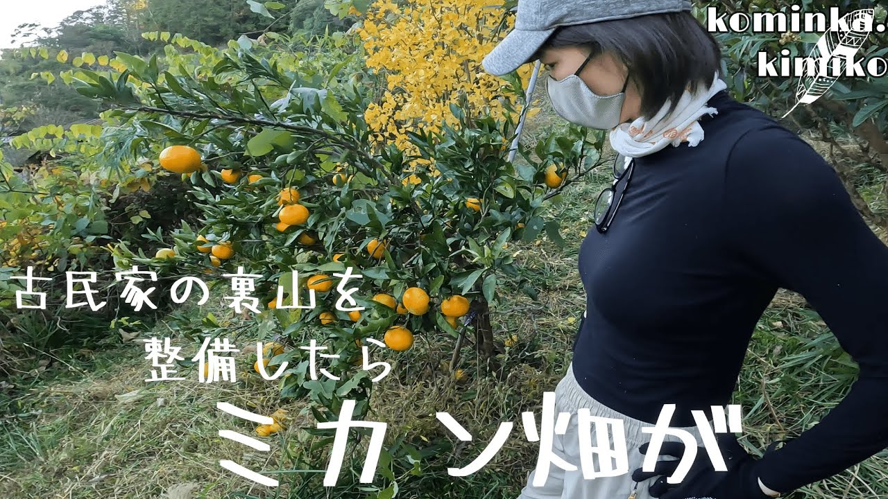 【古民家に住もう#133】30年放置された裏山を刈ったらミカン畑が現れました