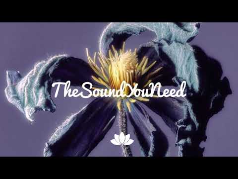 Fkj Bas Risk Galimatias Version